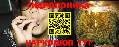 спиды Жуковский