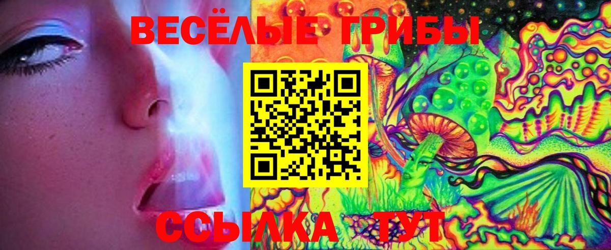 Псилоцибиновые грибы мухоморы  Вход с VPN  Луховицы 